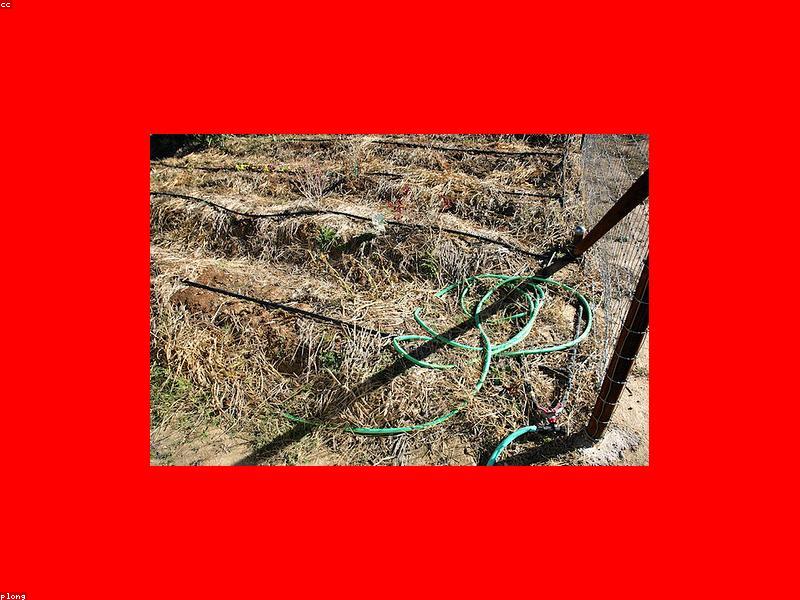 Smart Drip Irrigation System - 5 Hectare Coverage