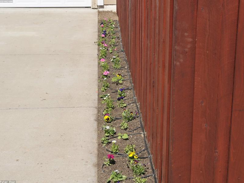 Smart Drip Irrigation System with IoT Sensors